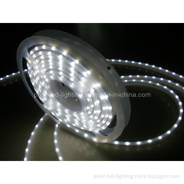 SMD LED Strip